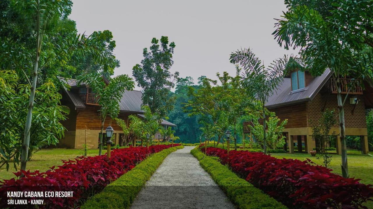 Kandy Cabana Exterior foto